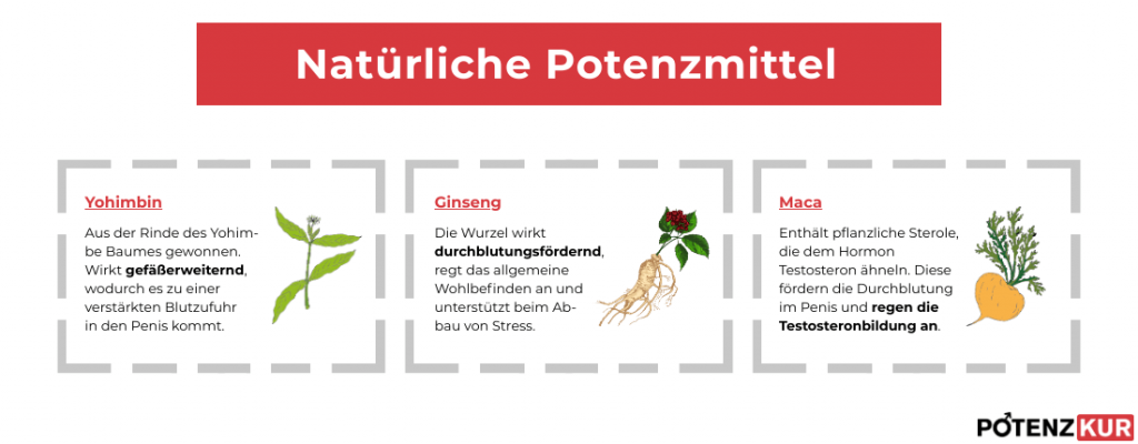 natuerliche-potenzmittel-potenzkur