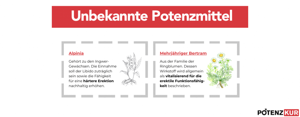 unbekannte-pflanzliche-potenzmittel